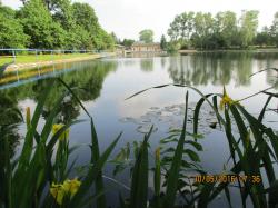 Bad Goltzscha 2016
