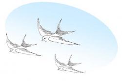 LogoHort