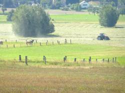 Landwirtschaft in Roda
