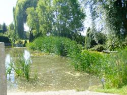Teich in Roda